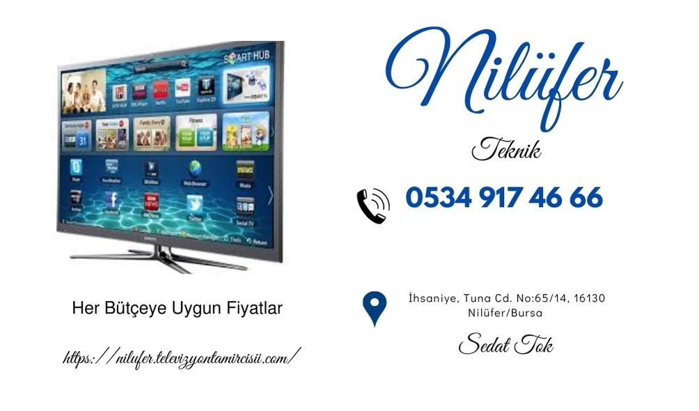 Bursa Nilüfer Tv Servisi